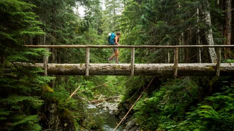 Crossing a log bridge through a rainforest along the Quinault Trail
