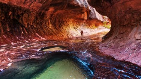 Finding one of the glistening Emerald Pools and a riparian habitat under the canyon walls