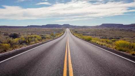 アリゾナ州北東部にある化石の森国立公園を抜けるルート 66 のドライブ