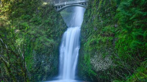Multnomah Falls, the most visited natural recreation site in the Pacific Northwest
