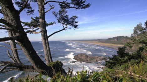 Looking out over Long Beach Peninsula’s 45 kilometers of beachfront from the North Head Lighthouse