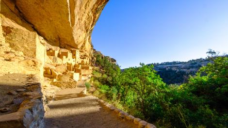 Exploring Cliff Palace, the largest ancient cliff dwelling with 150 rooms