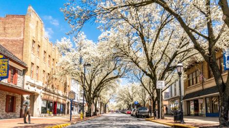 Downtown York shines with beautiful blooms