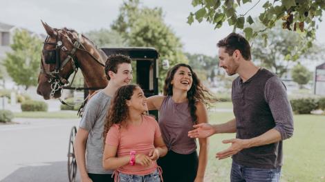 Ready for a horse-drawn buggy ride through the scenic countryside