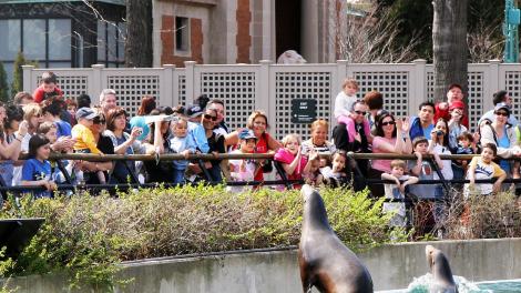 Visitors enjoying a sea lion encounter at the Bronx Zoo 