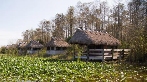 A row of chickee huts lines an Everglades swamp
