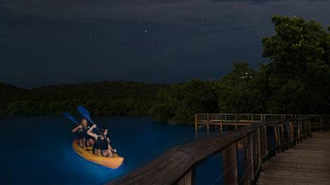 划皮艇夜游波多黎各法哈多的格兰德湖