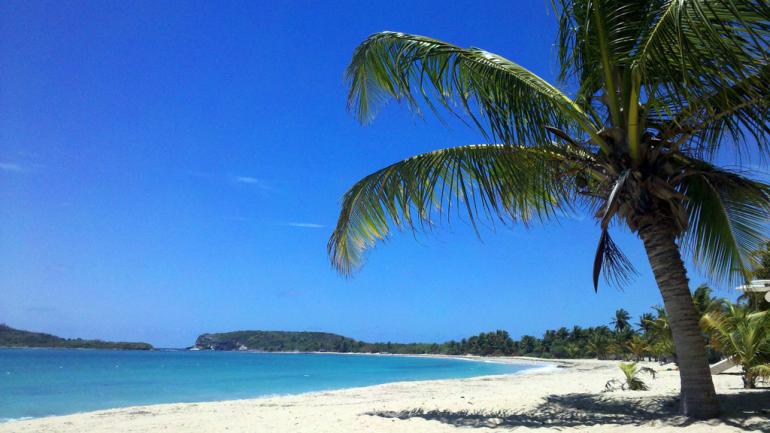 El Vieques National Wildlife Refuge cuenta con hermosos paisajes de la costa del Caribe donde podrás disfrutar el clima cálido de la isla durante todo el año.