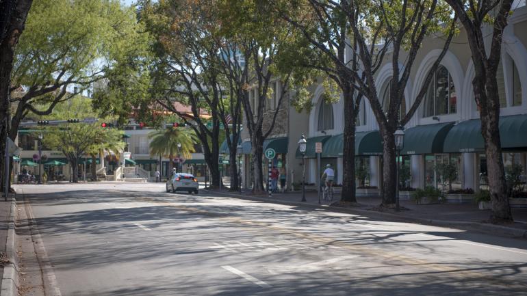 Charming tree-lined streets in Coconut Grove 
