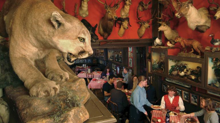 デンバーの歴史あるバックホーンエクスチェンジの店内を飾る獲物