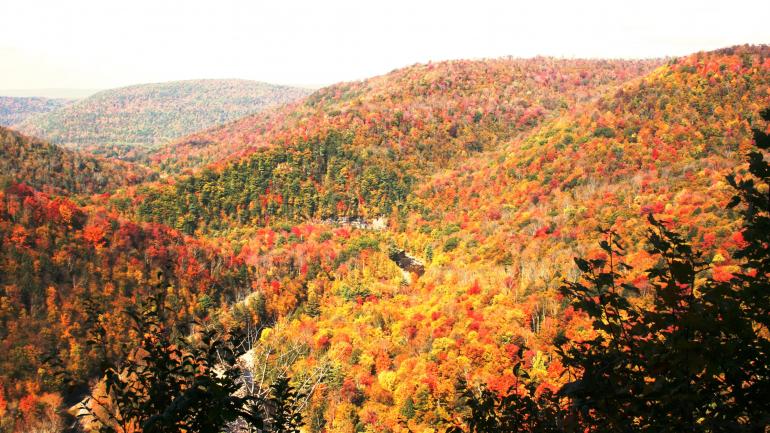 秋叶渲染的宾夕法尼亚州恩德莱斯山
