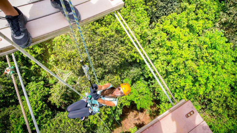 Rappelling down into the tree canopy on “The Wild Bull”
