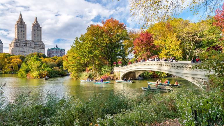 Bow Bridge, a favorite view for picnickers in Central Park