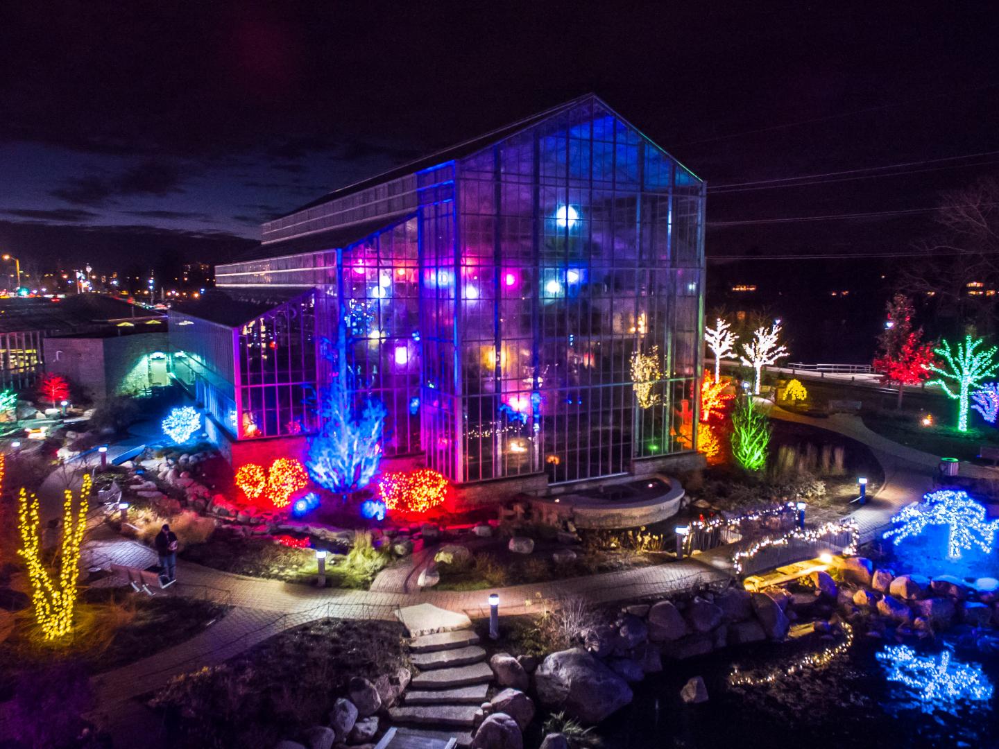 尼古拉斯温室花园闪耀的假日灯光照亮了夜空