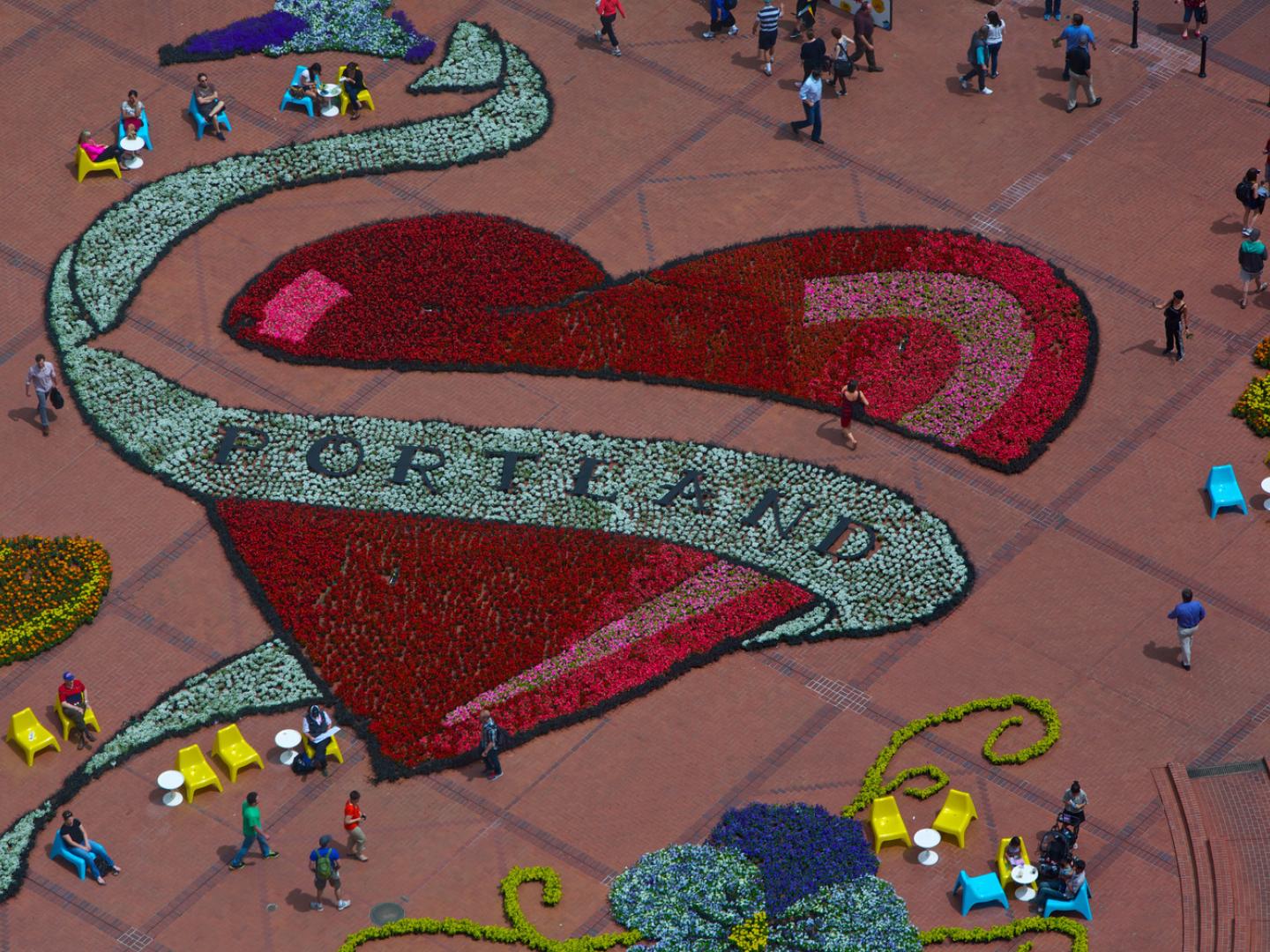 Motiv aus Rosen beim Portland Rose Festival