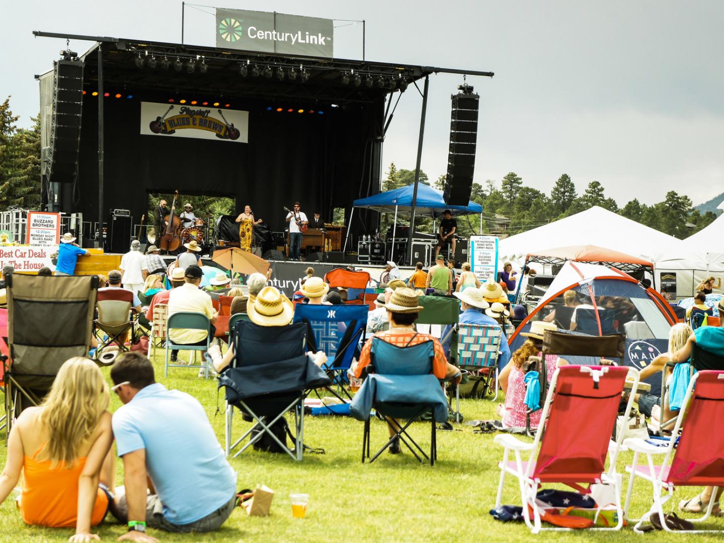 ブルース・アンド・ブリュース・フェスティバルで楽しむ音楽