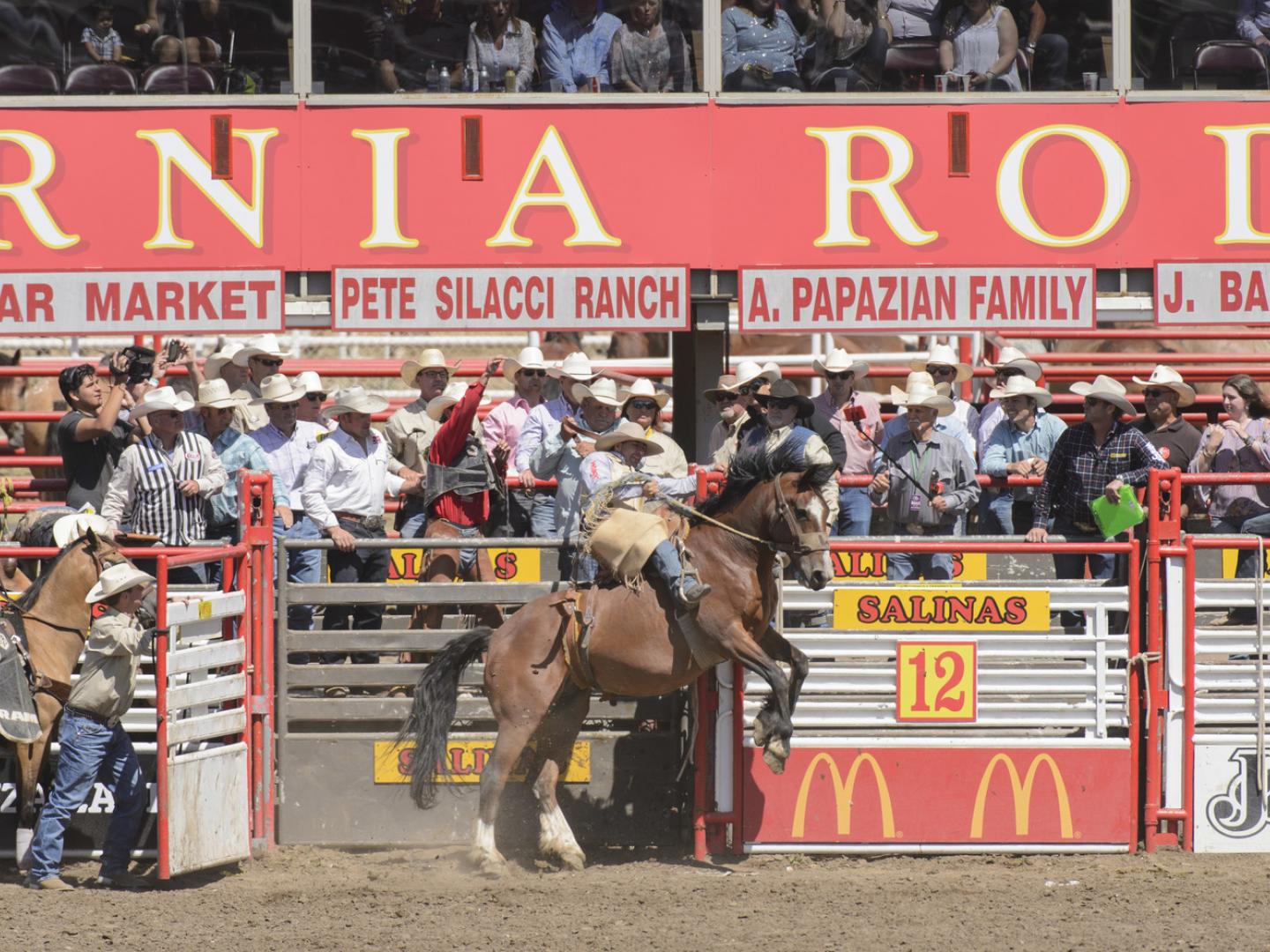 热闹非凡的萨利纳斯牛仔竞技场