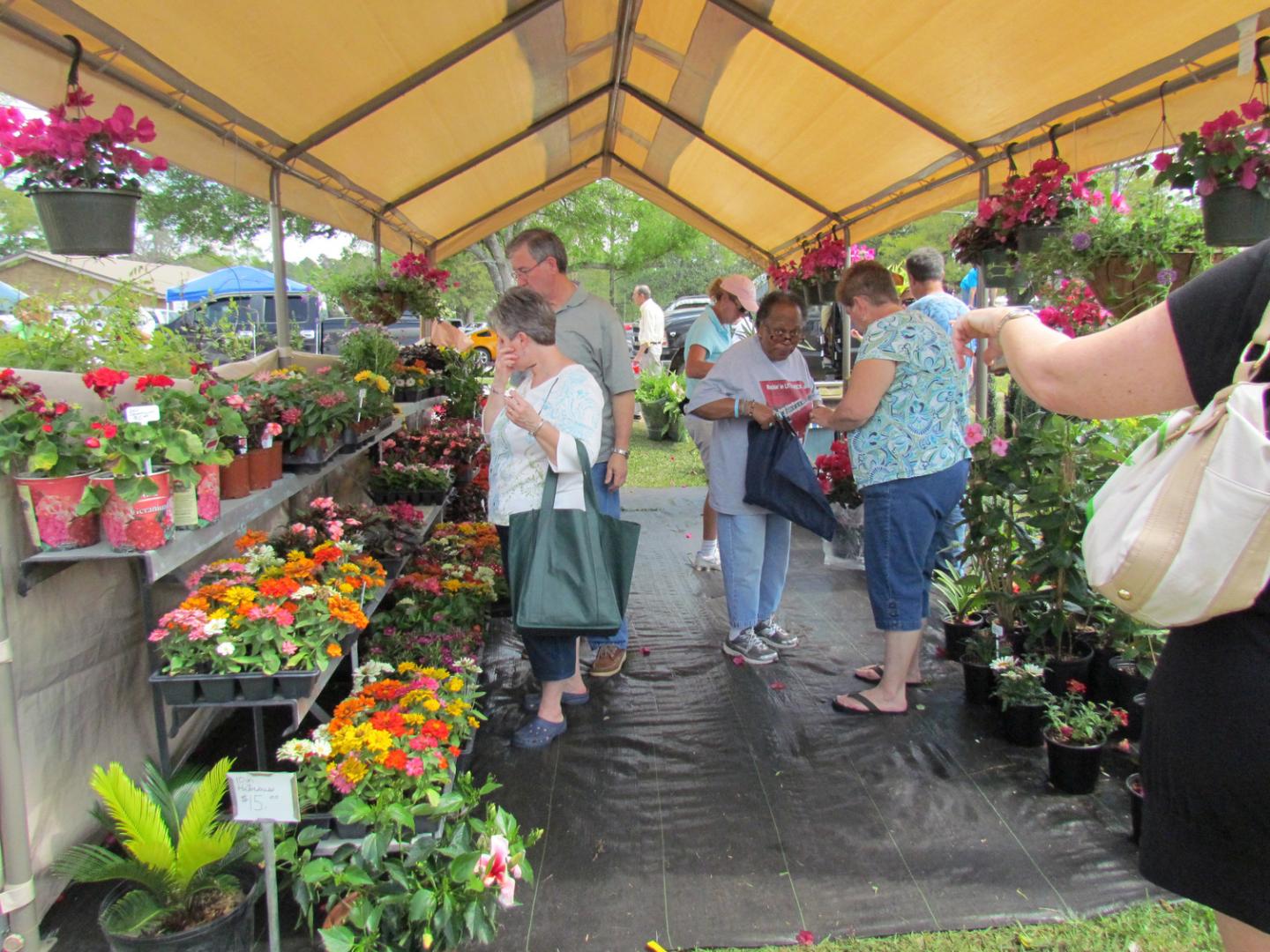 Everything’s blooming at Louisiana Nursery Festival