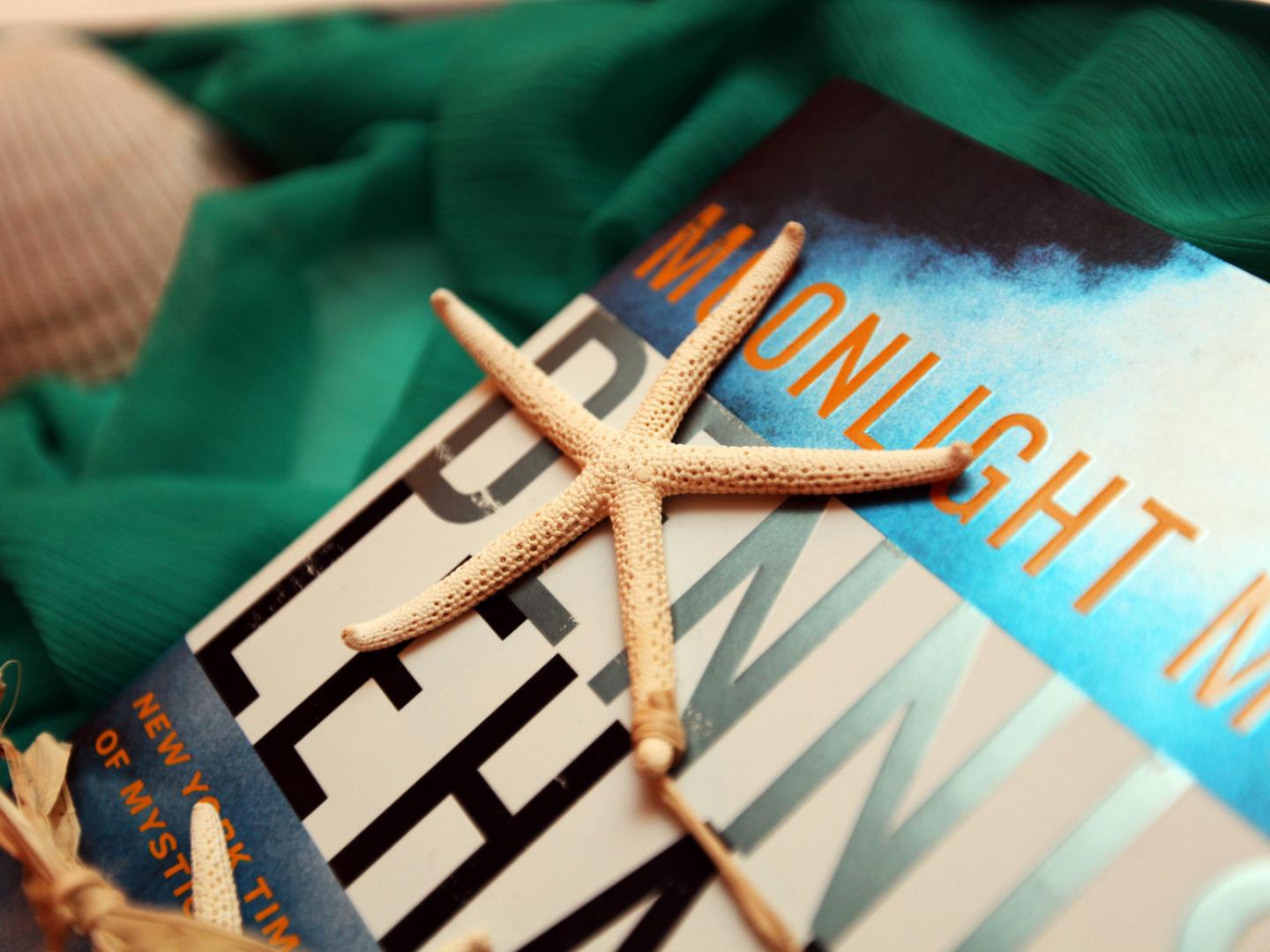 Seashells and books in Amelia Island, Florida