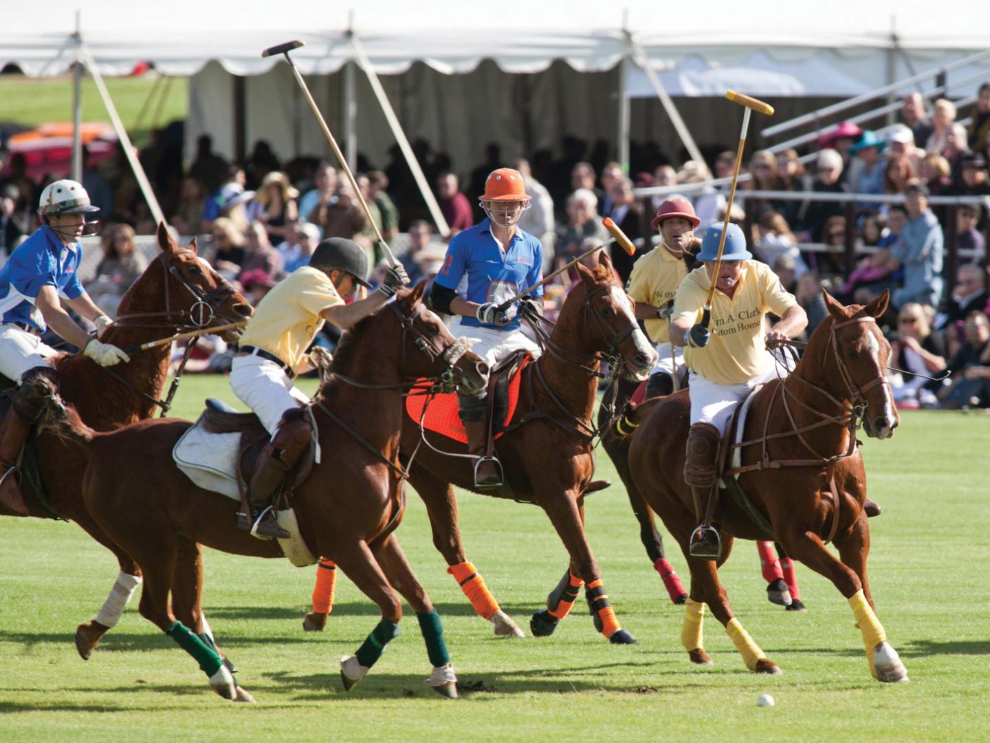 Watching a polo match during the Bentley Scottsdale Polo Championship in Arizona