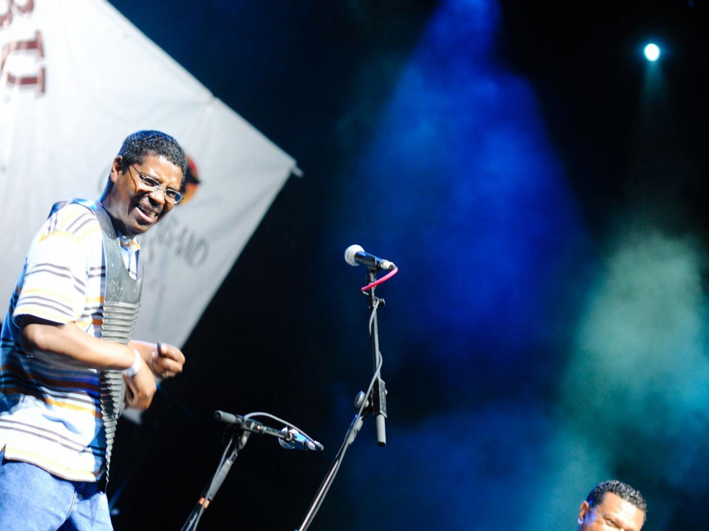 Live music performance during the Marshland Festival