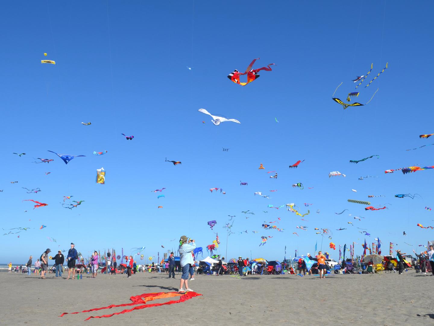 Colorful kites soaring over the Long Beach Peninsula during the Washington State International Kite Festival 