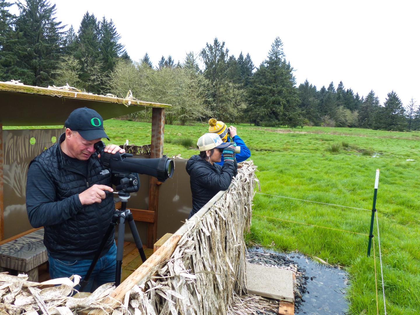 Birdwatching at Willapa National Wildlife Refuge during the Wings Over Willapa festival