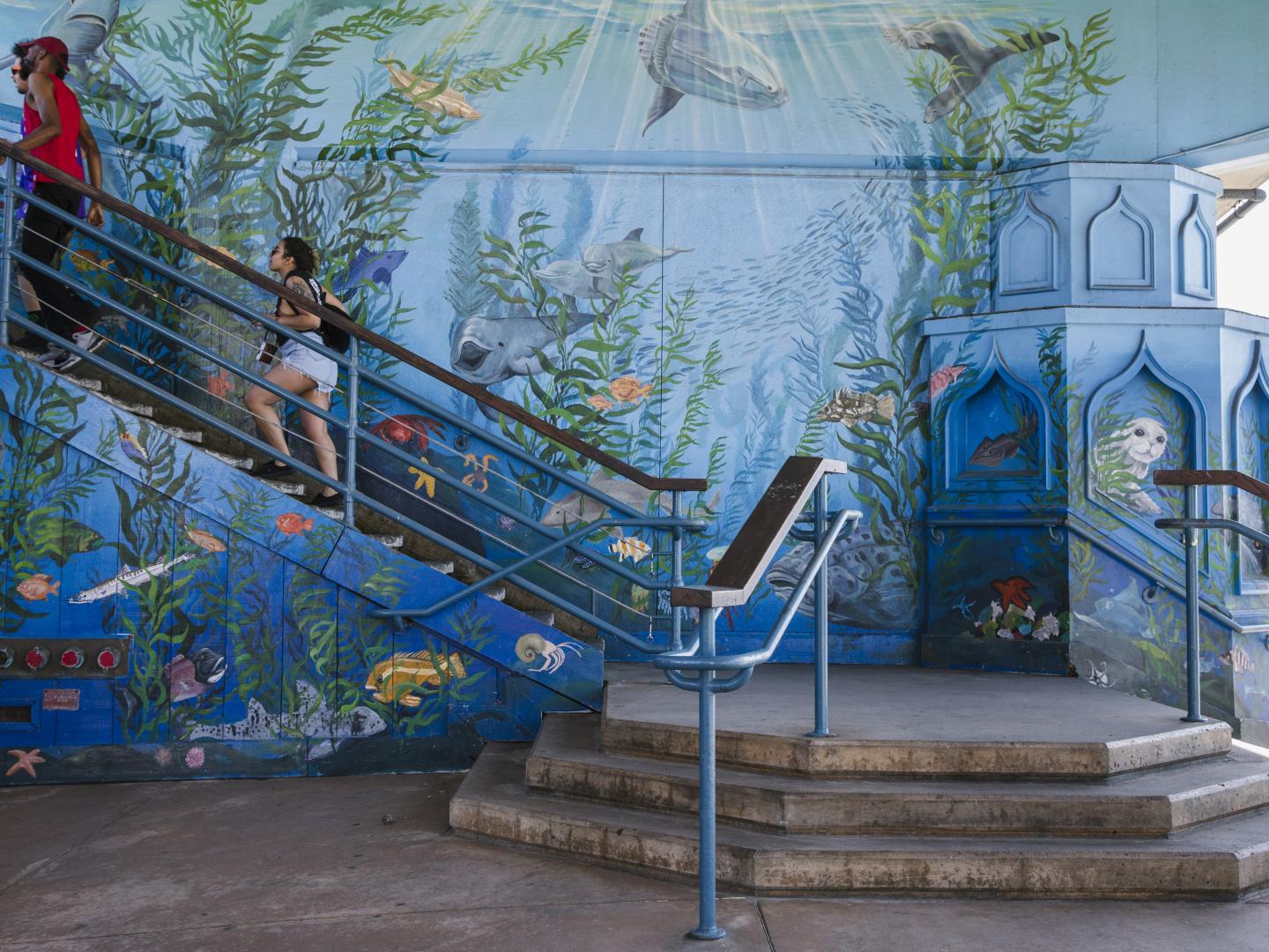 加利福尼亚州圣莫尼卡拯救海湾水族馆的壁画艺术