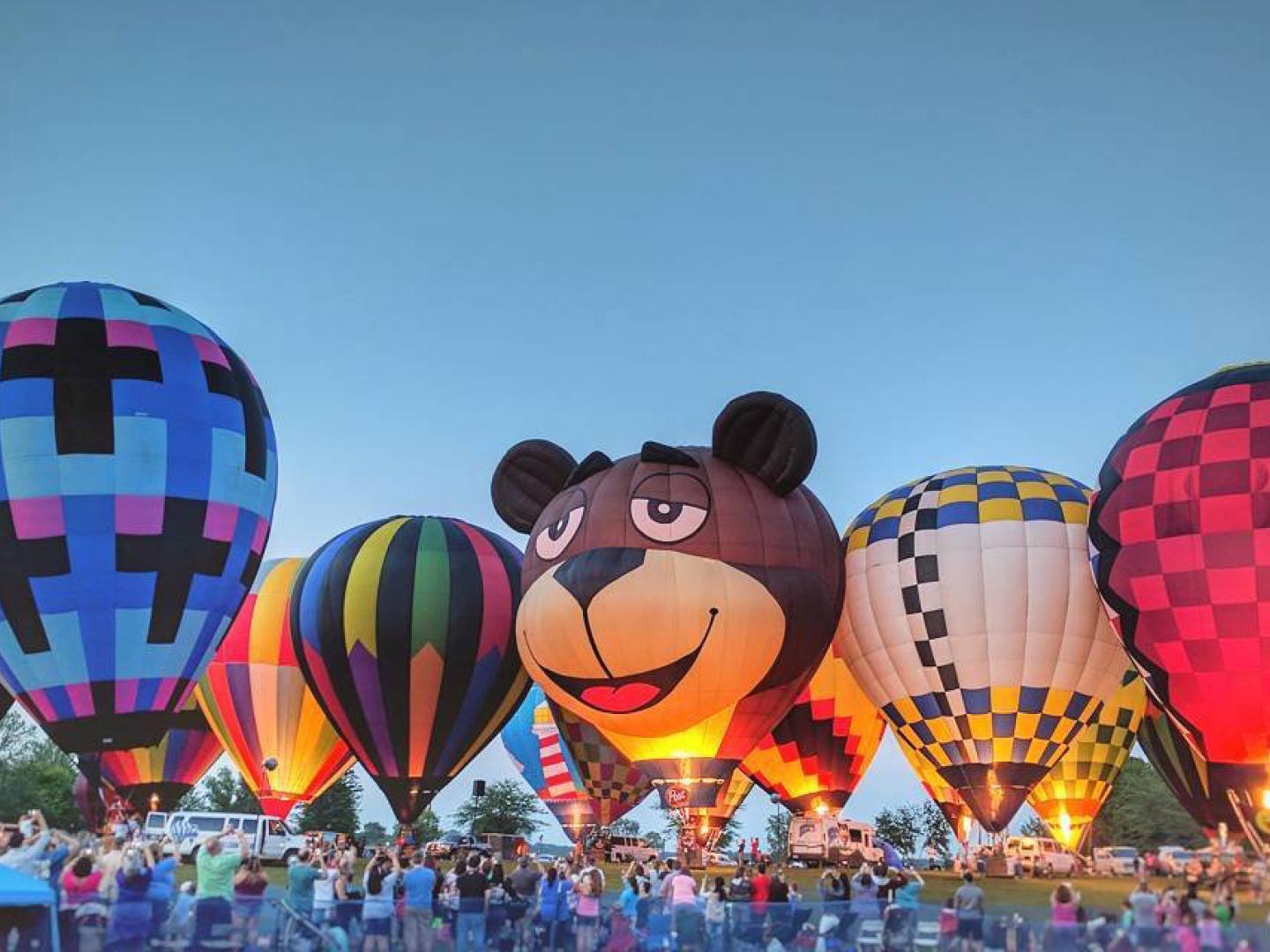 巴伐利亚旅馆热气球节上的热气球