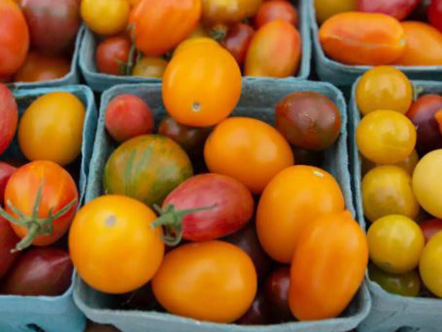 科罗拉多州韦尔农贸市场和艺术展上色彩缤纷的当地农产品