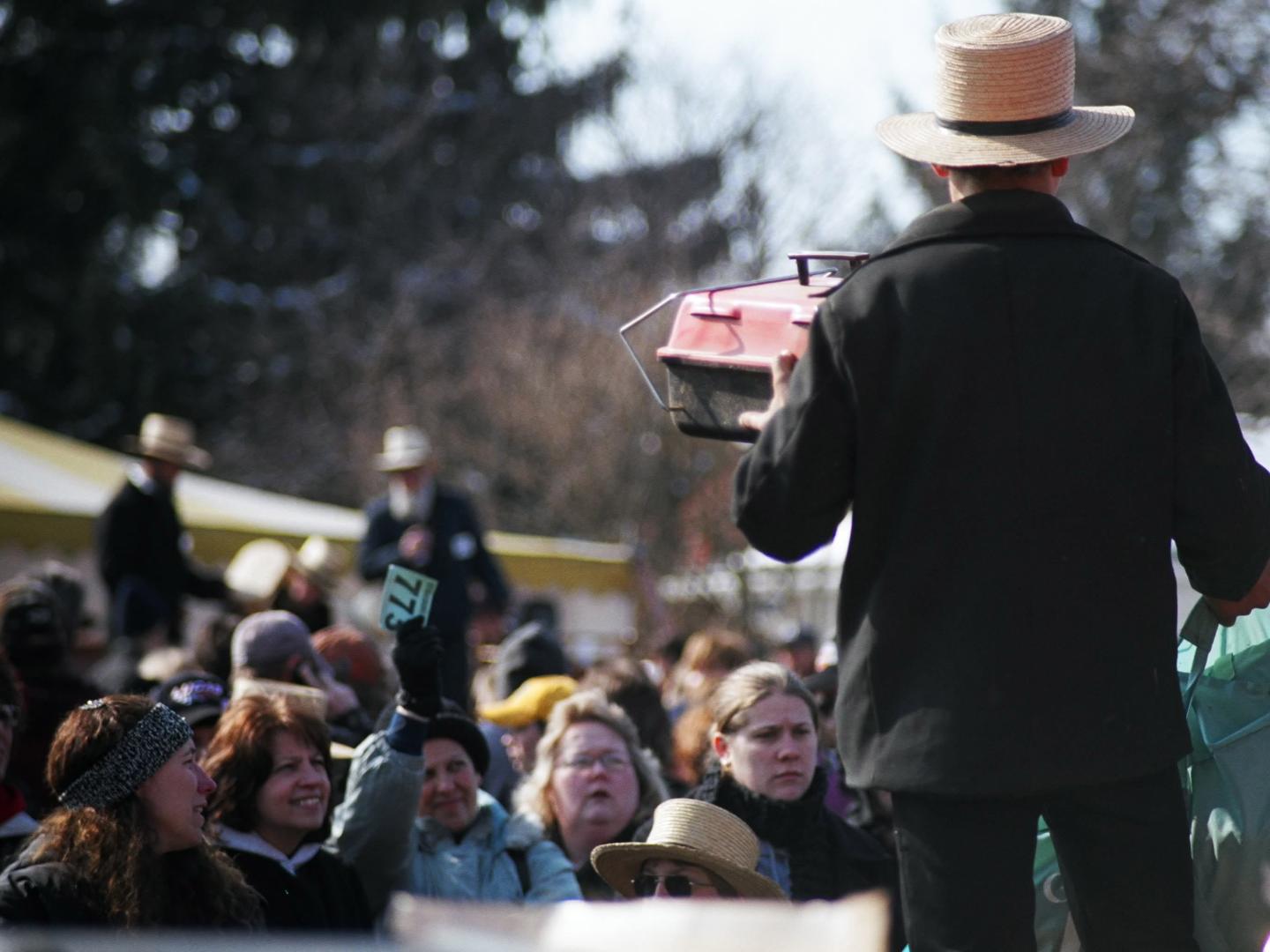 Shoppers bid on items at an Amish Mud Sale in Lancaster County