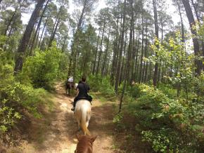 Ambling through Kisatchie National Forest