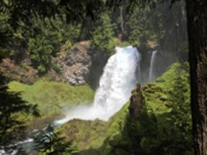 Die Sahalie Falls bei Eugene