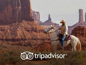 TripAdvisor promo