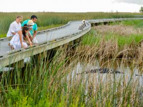 Wildlife watching on the Creole Nature Trail