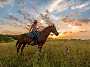 Exploración del territorio de Circle S Ranch a caballo Exploración del territorio de Circle S Ranch a caballo