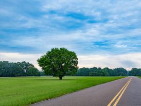 La route Natchez Trace Parkway, qui offre de magnifiques paysages La route Natchez Trace Parkway, qui offre de magnifiques paysages