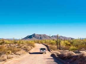 Scenic drive among the saguaro cacti in the Sonoran Desert in Arizona Scenic drive among the saguaro cacti in the Sonoran Desert in Arizona