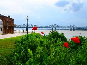 Amapolas floreciendo junto al Mississippi River, una vista de primavera favorita en la ciudad
