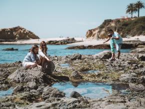 현지 해변의 조수 웅덩이에서 해양생물을 발견한 모습 현지 해변의 조수 웅덩이에서 해양생물을 발견한 모습