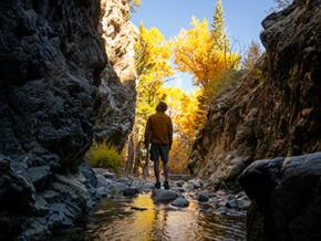 Der Zapata Falls Trail nahe Alamosa, Colorado