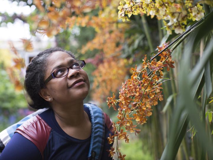 Admiring orchids at the Chicago Botanic Garden