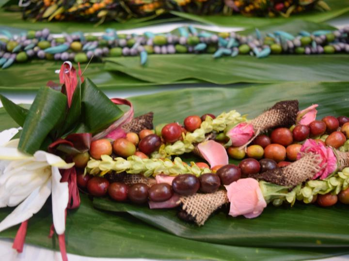 Local harvests on display at Hawaiʻi’s oldest food festival on Hawai’i Island