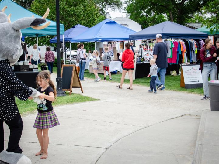 Jackalope Days festivities in Douglas, Wyoming