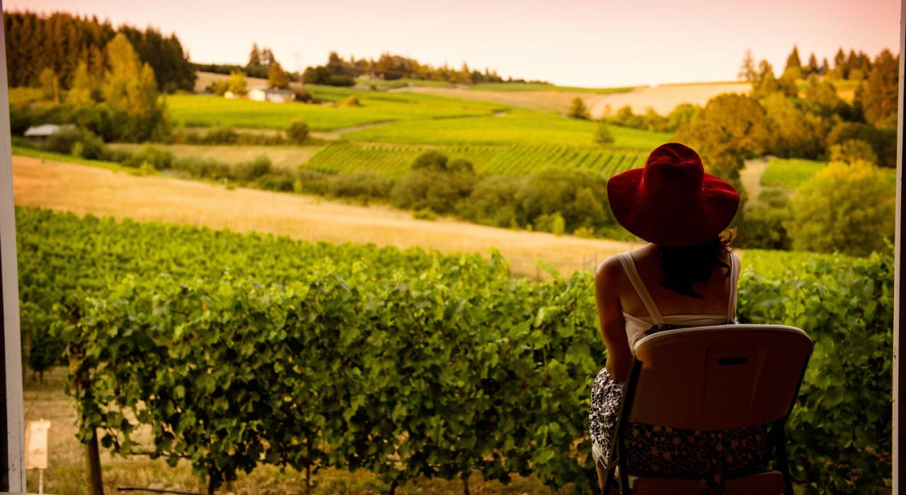 Taking in the vineyard views near McMinnville on an Oregon ranch stay