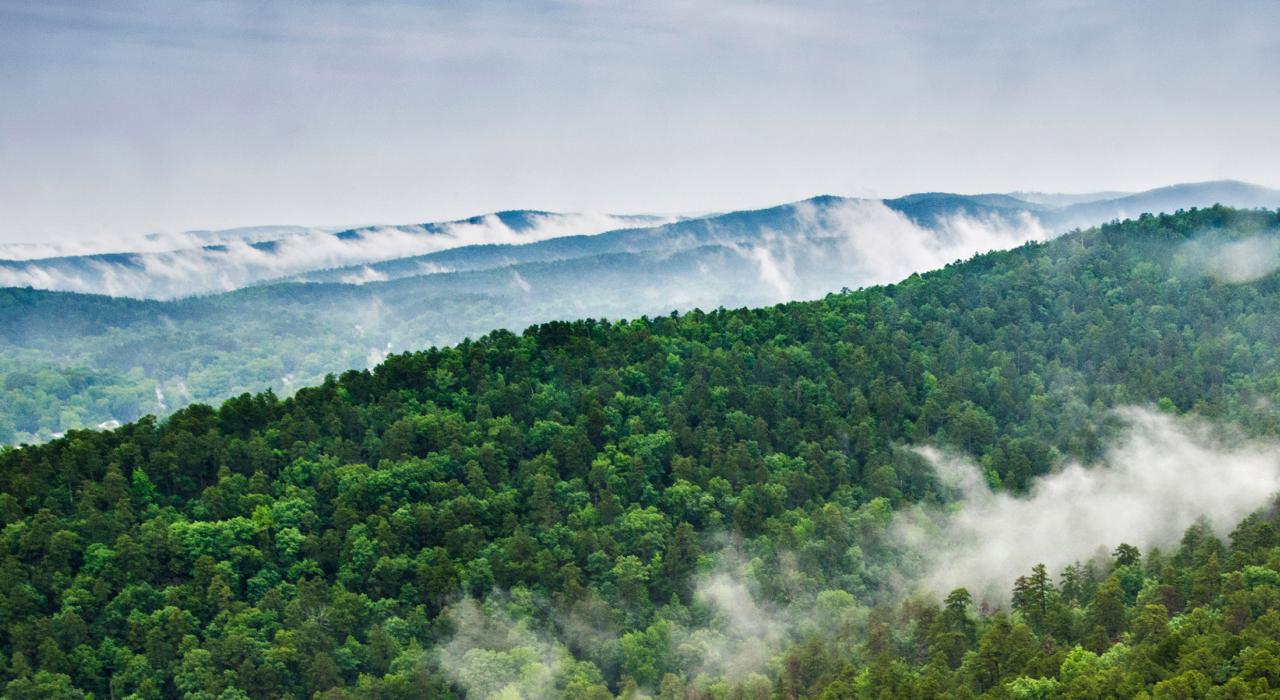 Vista desde la Hot Springs Mountain Tower en Arkansas