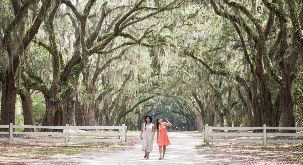 Strolling the oak-lined pathway at Wormsloe State Historic Site in Savannah, Georgia