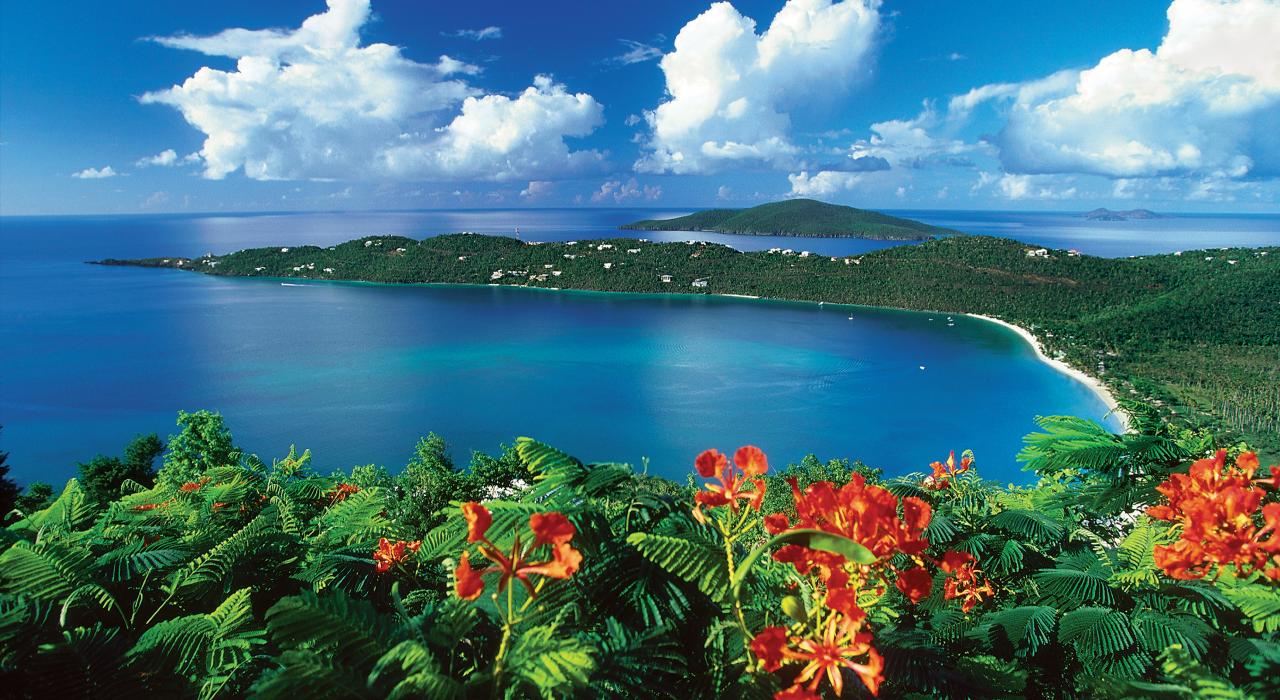 Tropical flowers frame the view of Magens Bay