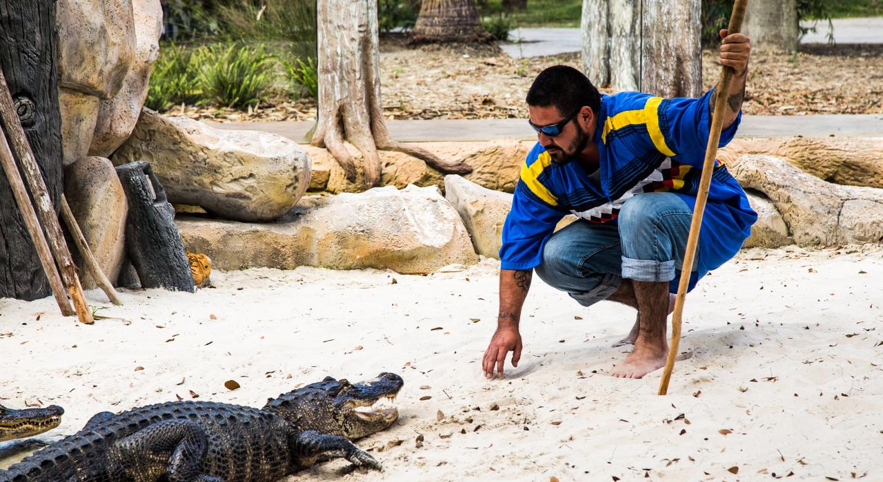Espectáculo de caimanes en vivo en el Billie Swamp Safari de la Reserva de la tribu semínola Big Cypress en Florida