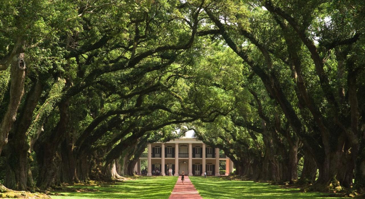 ミシシッピ川のロマンス